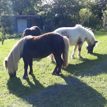 Luise * 노이보이에른