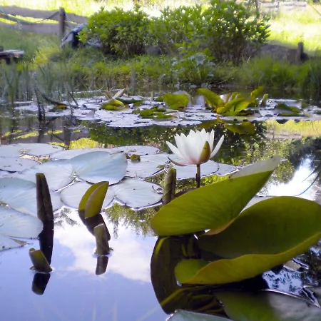 Luise 노이보이에른