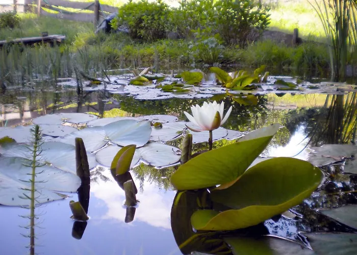 Luise نيوبيورن